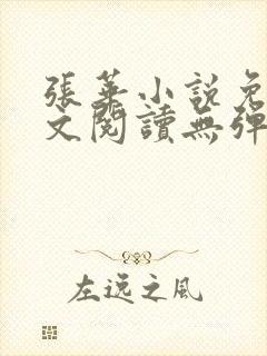 张华小说免费全文阅读无弹窗