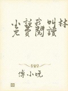 小说我叫林小喜免费阅读