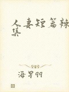 人妻短篇辣文合集