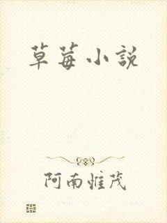 草莓小说封面