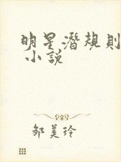 明星潜规则之皇 小说封面