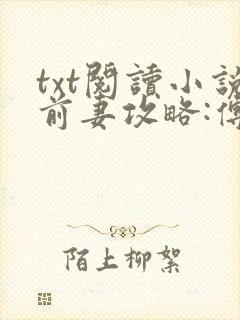 txt阅读小说前妻攻略:傅先生偏要宠我封面