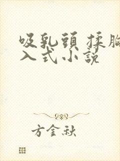 吸乳头 揉胸后入式小说封面