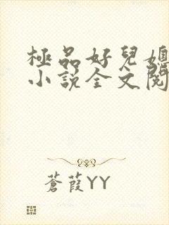 极品好儿媳苏媚小说全文阅读