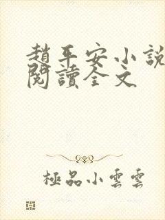 赵平安小说免费阅读全文封面
