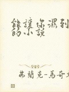 能让你湿到不行的小说