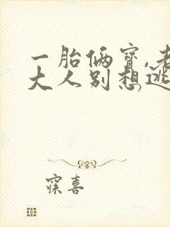 一胎俩宝,老婆大人别想逃有声