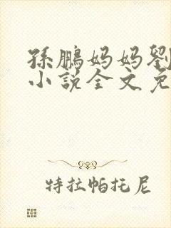 孙鹏妈妈刘淑英小说全文免费阅读