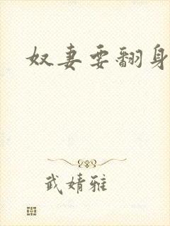 奴妻要翻身封面