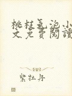 桃枝气泡小说全文免费阅读