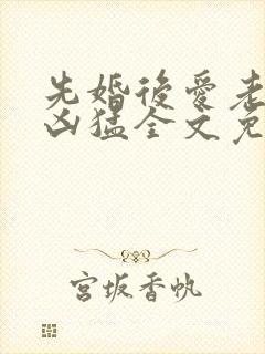 先婚后爱老公很凶猛全文免费阅读