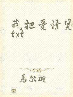 我把爱情煲成汤txt