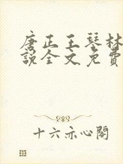 唐正王琴林媛小说全文免费阅读