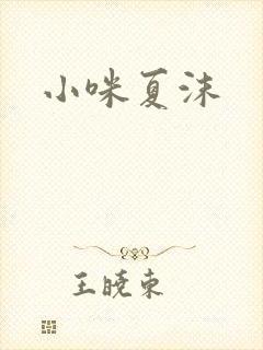 小咪夏沫封面