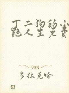 丁二狗的小说猎艳人生免费阅读全文