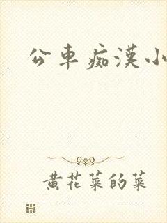 公车痴汉小说