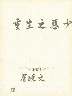 重生之恶少