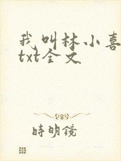 我叫林小喜乖宝txt全文封面