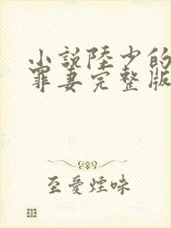 小说陆少的隐婚罪妻完整版