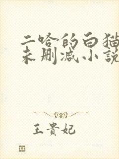 二哈的白猫师尊未删减小说