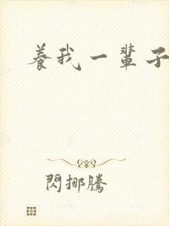 养我一辈子封面