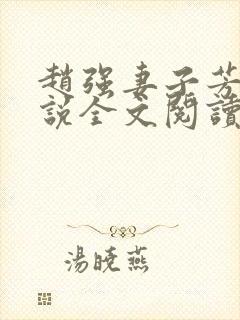 赵强妻子芳姨小说全文阅读