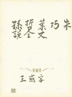孙哲叶巧朱颜小说全文