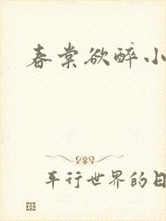 春棠欲醉小说封面