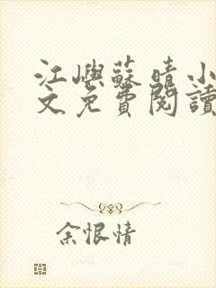 江屿苏晴小说全文免费阅读封面