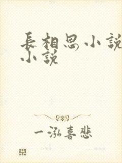长相思小说原著小说封面