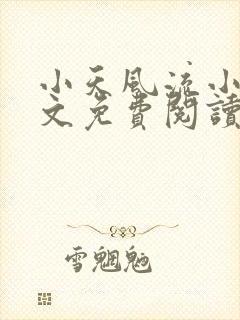 小天风流小说全文免费阅读无弹窗下