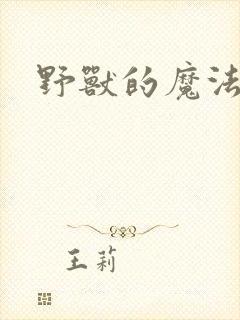 野兽的魔法师封面