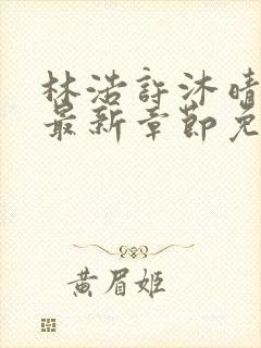 林浩许沐晴小说最新章节免费阅读全文封面