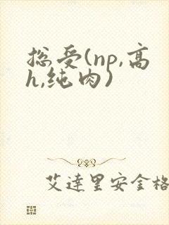 总受(np,高h,纯肉)封面