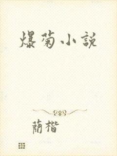 爆菊小说