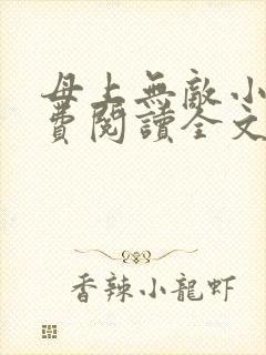 母上无敌小说免费阅读全文最新章节