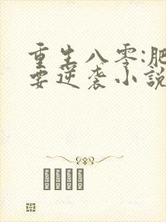 重生八零:肥女要逆袭小说txt主角