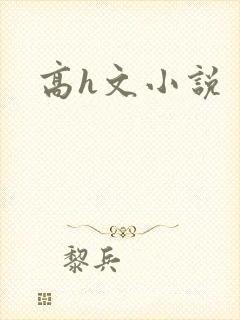 高h文小说