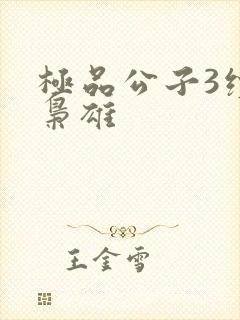 极品公子3续世枭雄