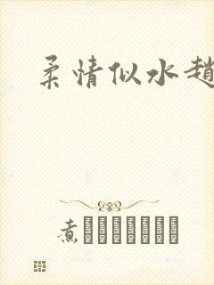 柔情似水赵雅儿