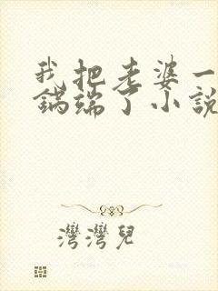 我把老婆一家一锅端了小说封面
