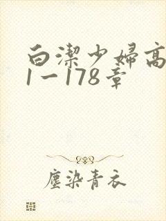 白洁少妇高义第1一178章封面