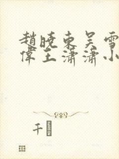赵晓东吴雪晴郑伟王潇潇小说