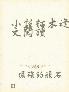 小说枯木逢春全文阅读