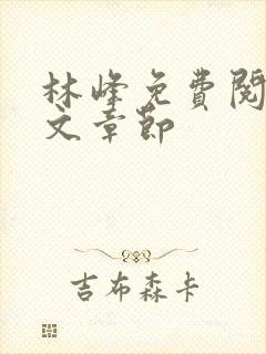 林峰免费阅读全文章节封面