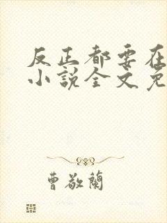 反正都要在一起小说全文免费阅读