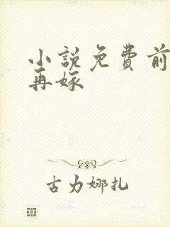 小说免费前妻求再嫁