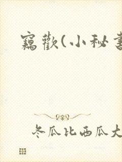 窃欢(小秘书)
