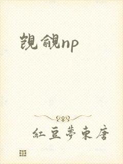 觊觎np