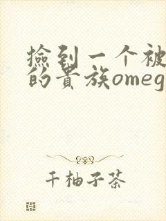 捡到一个被抹布的贵族omega